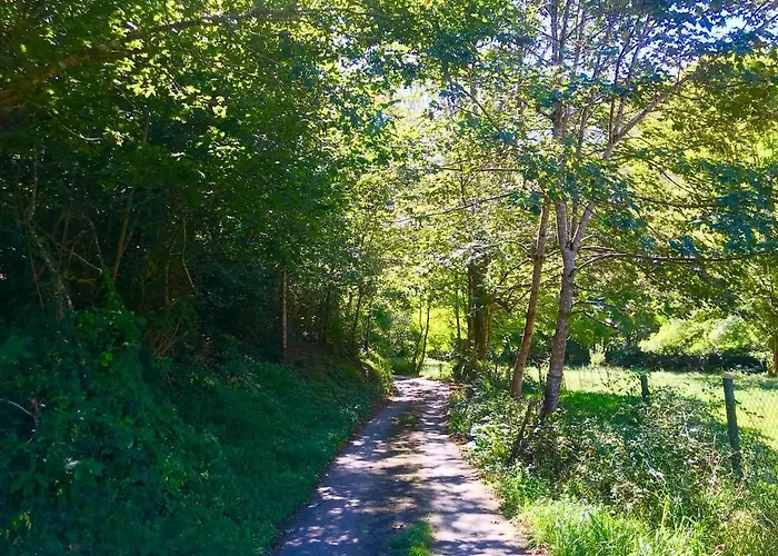 別荘 Cangas De Onis Rural House With A Sunset View Villa